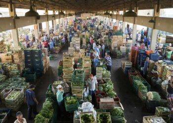 Ceasa-ES inaugura Banco de Alimentos em parceria com o Sesc