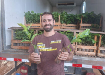 Caravana do Arranjos Produtivos entrega 149,5 mil mudas