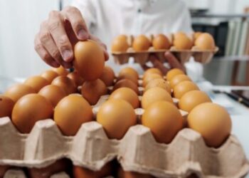 Confira as oportunidades de trabalho em aberto na Nater Coop