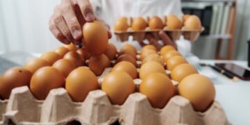 Confira as oportunidades de trabalho em aberto na Nater Coop