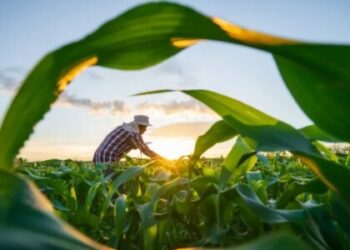 Crédito rural para agricultura familiar cresce R$ 235 milhões no Espírito Santo e supera R$ 2,36 bilhões