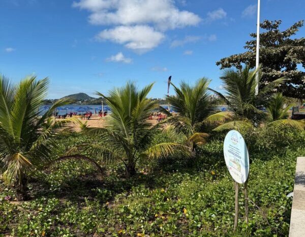 Joanir Smarçaro leva para a Grande Vitória