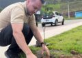 Projeto Arborizar avança e amplia plantio de árvores na sede de Alfredo Chaves