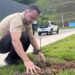 Projeto Arborizar avança e amplia plantio de árvores na sede de Alfredo Chaves