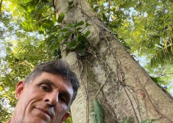 Empresário cria sombra, vida e exemplo na orla de Vitória e planta árvores em área de 4.000 metros de sua empresa