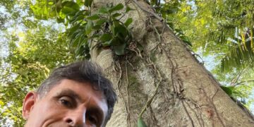 Empresário cria sombra, vida e exemplo na orla de Vitória e planta árvores em área de 4.000 metros de sua empresa