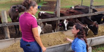 Com a análise da silagem, o produtor compreende todo o seu processo de produção