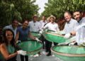 Governador abre oficialmente a colheita do café conilon no Espírito Santo