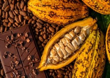 Incaper apoia 10º Concurso da Qualidade de Amêndoas do Cacau Capixaba