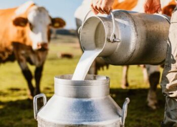 Seag participa de debate sobre sustentabilidade e sucessão familiar na Agrintex ES 2026