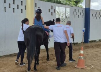 Terapia com cavalos da Polícia Militar transforma vidas