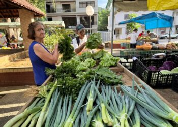 Feira da Agricultura Familiar movimenta praça em Alfredo Chaves