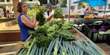 Feira da Agricultura Familiar movimenta praça em Alfredo Chaves