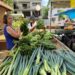 Feira da Agricultura Familiar movimenta praça em Alfredo Chaves