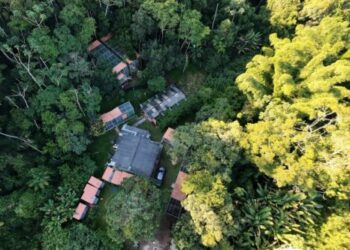 Parceria entre Samarco e UFV gera dados inéditos para conservação de 22 espécies ameaçadas na Bacia do Rio Doce