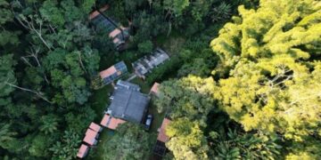 Parceria entre Samarco e UFV gera dados inéditos para conservação de 22 espécies ameaçadas na Bacia do Rio Doce