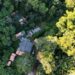 Parceria entre Samarco e UFV gera dados inéditos para conservação de 22 espécies ameaçadas na Bacia do Rio Doce