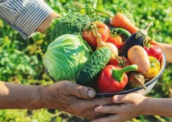 Prefeitura abre seleção do Programa de Aquisição de Alimentos com investimento de R$ 175 mil