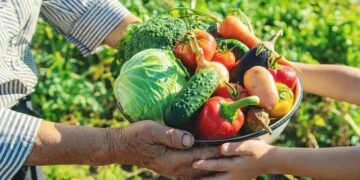 Prefeitura abre seleção do Programa de Aquisição de Alimentos com investimento de R$ 175 mil