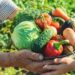 Prefeitura abre seleção do Programa de Aquisição de Alimentos com investimento de R$ 175 mil