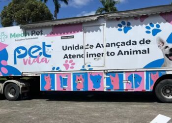 Alfredo Chaves realiza castração e vacinação gratuita de cães e gatos