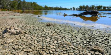Do preço dos alimentos à falta de água: entenda como o Super El Niño pode afetar sua vida